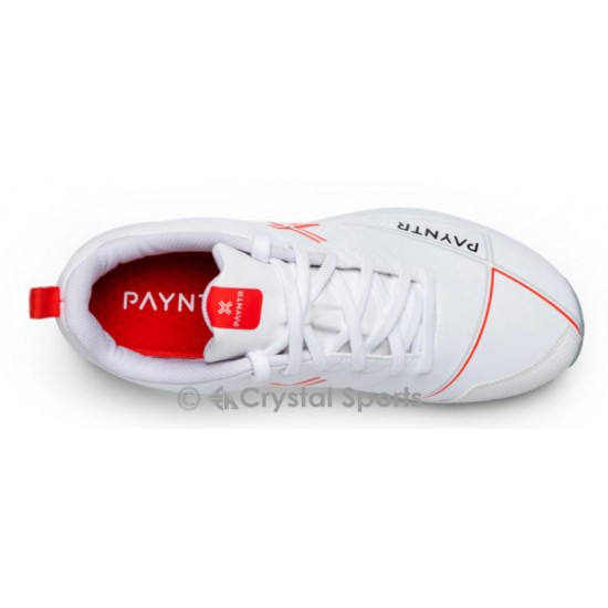 Payntr X Batting Spike All White Cricket Shoe